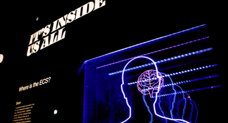 Technology’s Impact on the Self